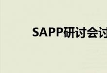 SAPP研讨会讨论区域电力池计划