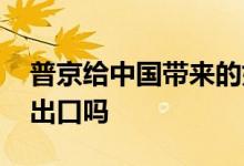 普京给中国带来的好消息 普京宣布禁止粮食出口吗