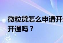 微粒贷怎么申请开通详细步骤 可以申请人工开通吗？