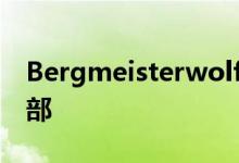 Bergmeisterwolf酒店位于12世纪的酒窖顶部