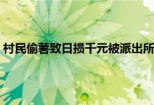 村民偷薯致日损千元被派出所训诫 偷庄稼被派出所抓住怎么处理