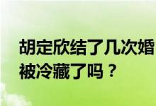 胡定欣结了几次婚 胡定欣因发表不恰当言论被冷藏了吗？