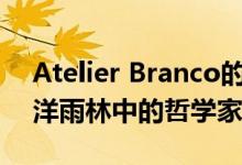 Atelier Branco的Casa Bibilioteca是大西洋雨林中的哲学家度假胜地