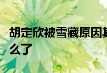 胡定欣被雪藏原因其说过什么话？最近事件怎么了