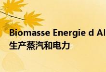 Biomasse Energie d Alizay将从现有的发电厂的生物质中生产蒸汽和电力