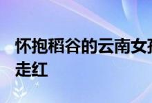 怀抱稻谷的云南女孩是谁 长着“国泰民安脸”走红