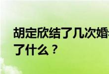 胡定欣结了几次婚老公是谁 其发表的言论说了什么？