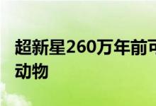 超新星260万年前可能已经消灭了海洋的大型动物