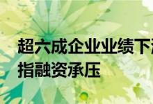 超六成企业业绩下滑持有电站企业2019年被指融资承压