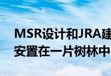 MSR设计和JRA建筑师将肯塔基州的图书馆安置在一片树林中