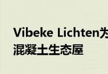 Vibeke Lichten为僻静的纽约岛设计自己的混凝土生态屋