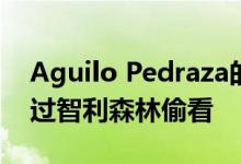 Aguilo Pedraza的Ptilted Apus House通过智利森林偷看