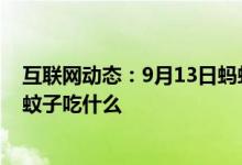 互联网动态：9月13日蚂蚁庄园小鸡宝宝问题雌蚊子吸血雄蚊子吃什么