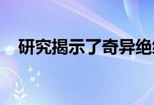 研究揭示了奇异绝缘材料中的新型量子态