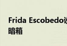 Frida Escobedo说Casa Negra旨在像一个暗箱