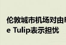 伦敦城市机场对由Foster Partners设计的The Tulip表示担忧