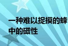 一种难以捉摸的蜂窝状结构材料 能够抑制其中的磁性