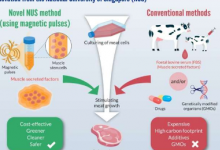 科学家开发新技术在实验室中利用磁场种植肉类