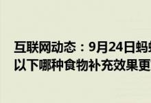 互联网动态：9月24日蚂蚁庄园小鸡宝宝问题人体缺铁时吃以下哪种食物补充效果更好