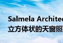 Salmela Architect的Deloia Residence呈立方体状的天窗照亮