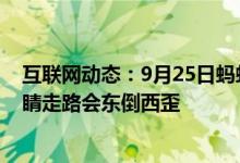 互联网动态：9月25日蚂蚁庄园小鸡宝宝问题为什么闭上眼睛走路会东倒西歪