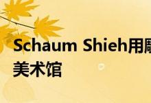 Schaum Shieh用雕刻的白色面板覆盖休斯顿美术馆