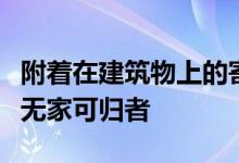 附着在建筑物上的寄生豆荚可能会容纳纽约的无家可归者