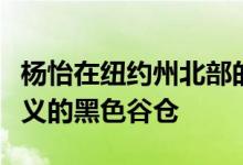 杨怡在纽约州北部的传统地产中增加了极简主义的黑色谷仓