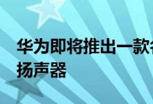 华为即将推出一款名为FreeGo的便携式蓝牙扬声器