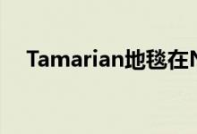 Tamarian地毯在NYC地毯展上弯曲现实