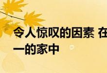 令人惊叹的因素 在布里斯班最好的建筑师之一的家中