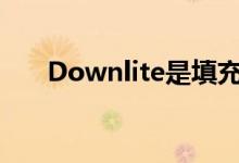 Downlite是填充和床上用品的制造商