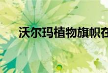 沃尔玛植物旗帜在不断扩大的床垫领域