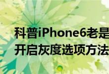 科普iPhone6老是自动重启解决办法及ios8开启灰度选项方法