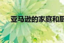 亚马逊的家庭和厨房类别每年增长25％