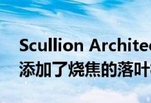 Scullion Architects在都柏林的联排别墅中添加了烧焦的落叶松塔