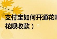 支付宝如何开通花呗收款券（支付宝如何开通花呗收款）