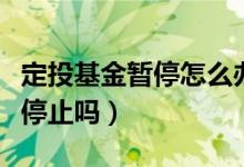 定投基金暂停怎么办（已经设置的定投基金能停止吗）