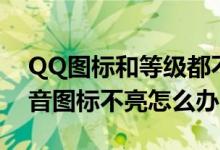 QQ图标和等级都不见了怎么办 QQ的QQ拼音图标不亮怎么办