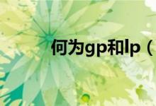 何为gp和lp（gp和lp什么意思）