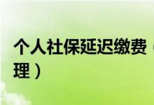 个人社保延迟缴费（个人社保延迟缴费如何办理）