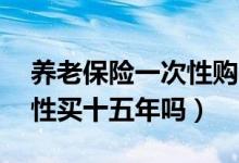 养老保险一次性购买15年（养老保险能一次性买十五年吗）