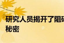 研究人员揭开了阻碍下一代太阳能电池发展的秘密