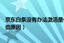 京东白条没有办法激活是什么原因（京东白条激活失败是哪些原因）