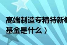 高端制造专精特新概念股基金（专精特新主题基金是什么）