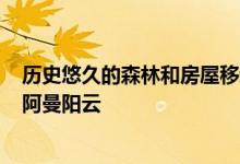 历史悠久的森林和房屋移动了800公里打造了上海度假胜地阿曼阳云