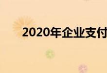 2020年企业支付软件市场的全球报告