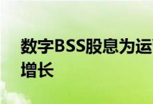 数字BSS股息为运营商企业带来34％的利润增长