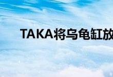 TAKA将乌龟缸放入棕榈园的House墙