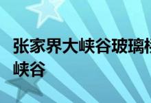 张家界大峡谷玻璃桥横跨张家界森林公园的深峡谷